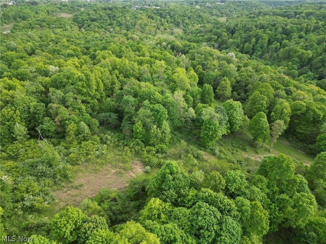 0 Kragel Rd, Wintersville, OH 43953 - photo 13