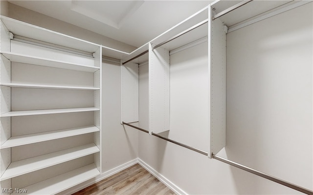 walk in closet with hardwood / wood-style flooring