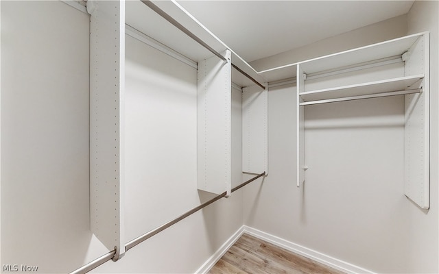 spacious closet featuring light hardwood / wood-style floors