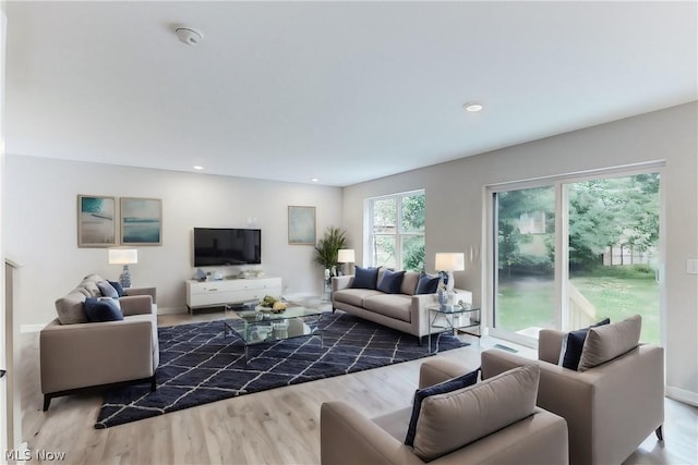 living room with hardwood / wood-style flooring