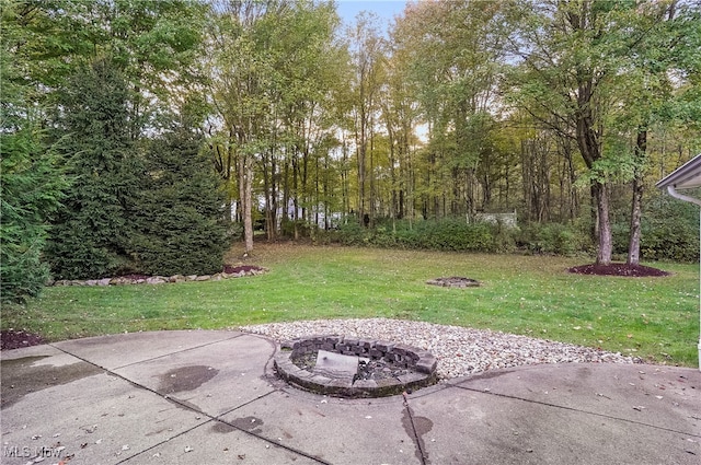 view of yard featuring a patio area