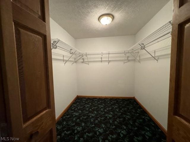 spacious closet featuring carpet