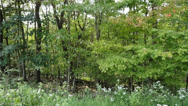 Listing photo 2 for TBD Bryden Rd, Weirton WV 26062