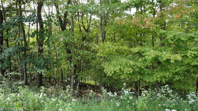 TBD Bryden Rd, Weirton, WV 26062 - photo 2