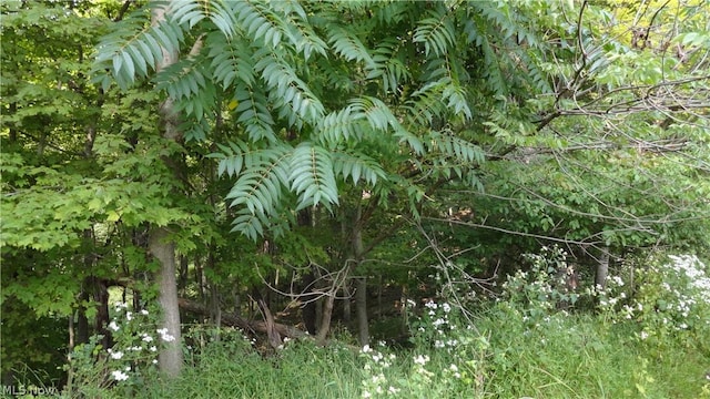 TBD Bryden Rd, Weirton, WV 26062 - photo 3
