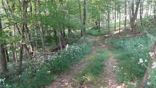 TBD Bryden Rd, Weirton, WV 26062 - photo 4