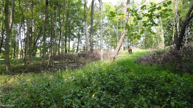 TBD Bryden Rd, Weirton, WV 26062 - photo 6
