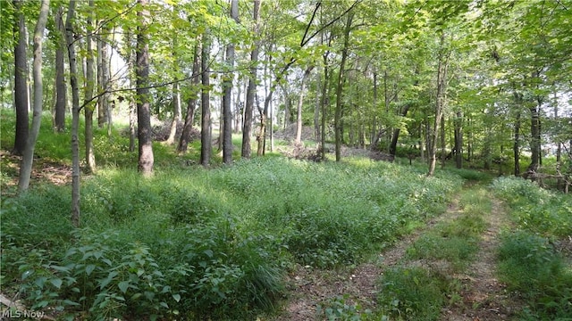 TBD Bryden Rd, Weirton, WV 26062 - photo 9