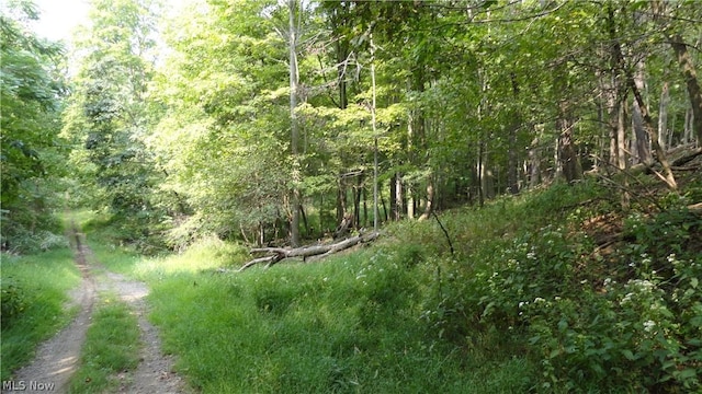 TBD Bryden Rd, Weirton, WV 26062 - photo 12