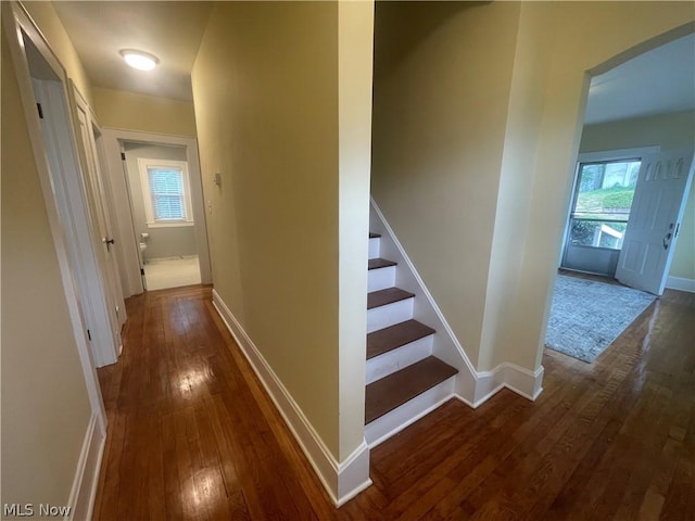 hall with dark hardwood / wood-style flooring