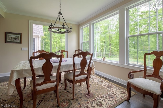 dining room with a wealth of natural light, hardwood / wood-style flooring, and crown molding