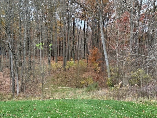 view of local wilderness