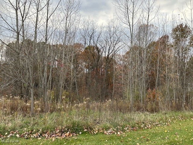 view of landscape