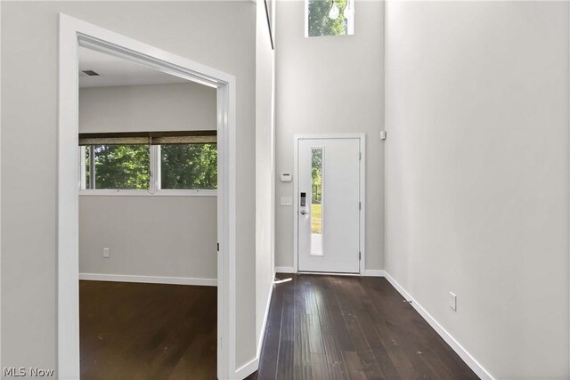 entrance foyer featuring dark wood-type flooring