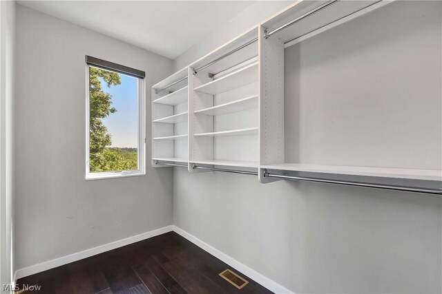 walk in closet with wood-type flooring