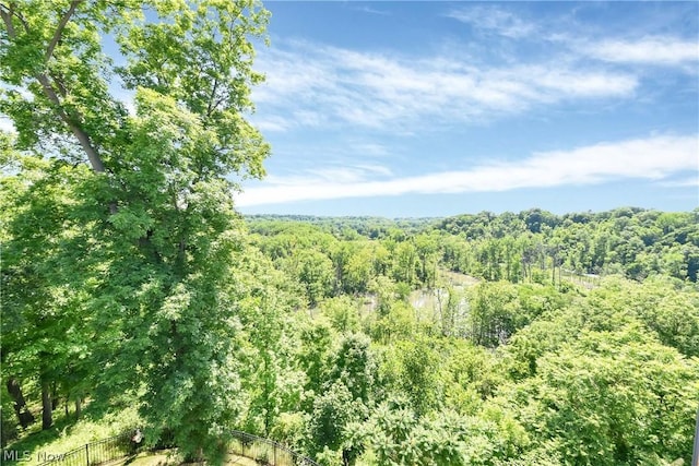 view of local wilderness