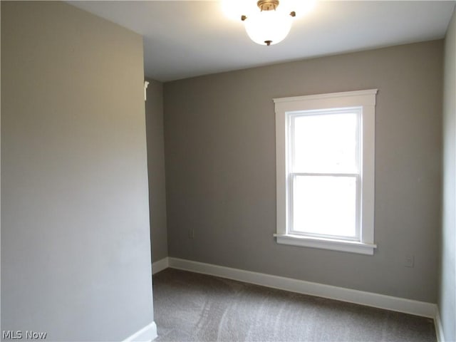 spare room with carpet floors