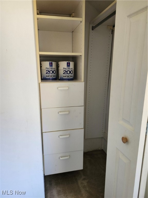 spacious closet with dark carpet