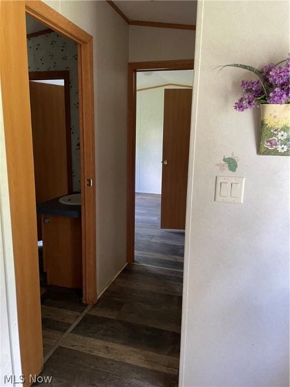 corridor with dark hardwood / wood-style flooring and crown molding