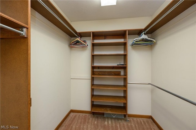 walk in closet featuring carpet flooring