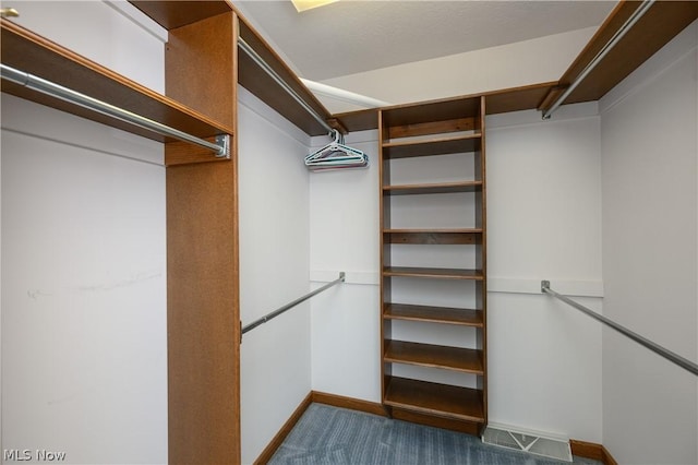 walk in closet with dark colored carpet