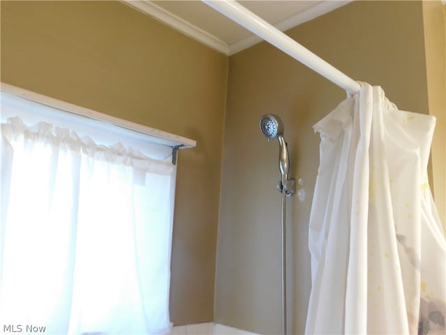 interior details featuring curtained shower