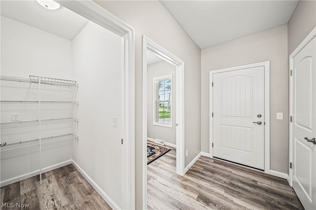 entrance foyer with hardwood / wood-style flooring