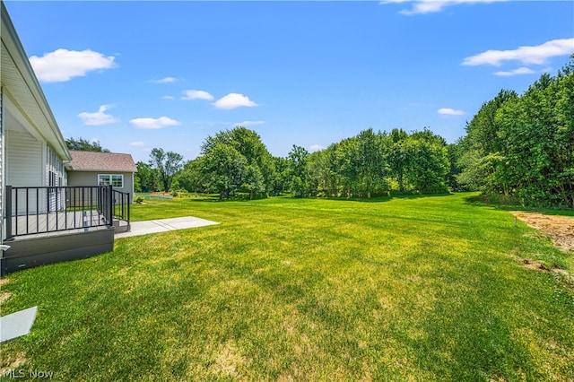 view of yard featuring a patio area