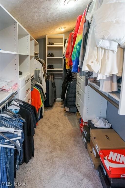 spacious closet featuring light carpet