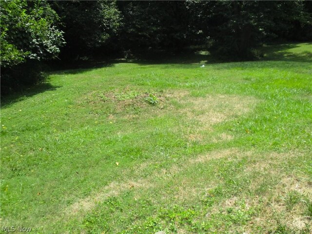 54885 Mount Victory Rd, Powhatan Point, OH 43942 - view of yard