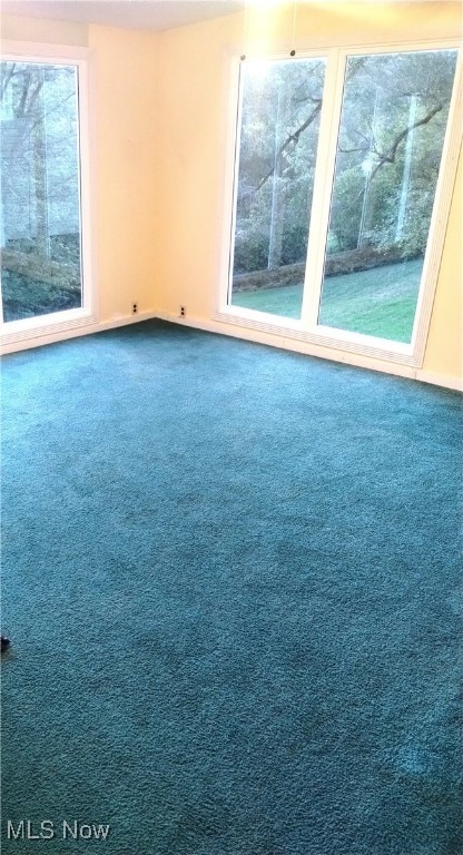 unfurnished room featuring carpet floors