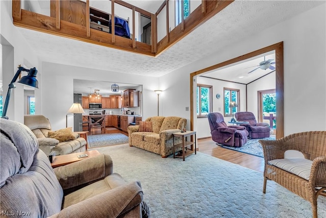 living room with high vaulted ceiling, light hardwood / wood-style flooring, and a textured ceiling