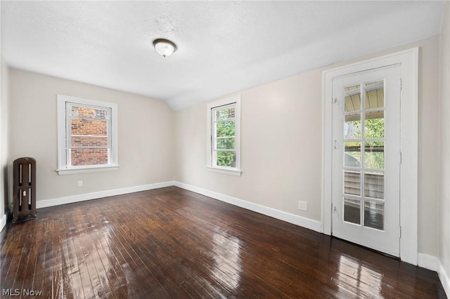 empty room featuring lofted ceiling, a textured ceiling, dark hardwood / wood-style floors, and plenty of natural light