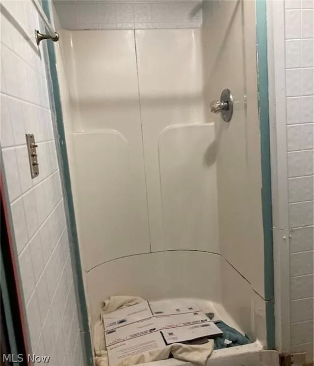 bathroom with a shower