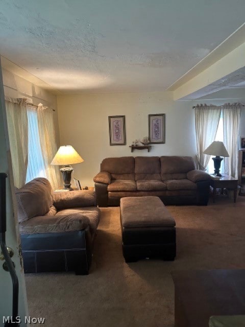 living room with carpet floors