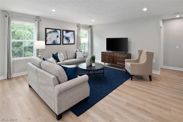 living room featuring plenty of natural light and light wood-type flooring