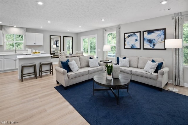 living room featuring light hardwood / wood-style floors, sink, and a textured ceiling