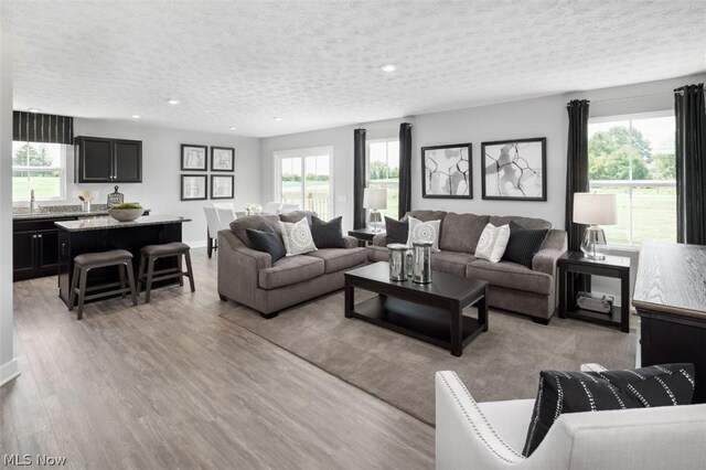 living room featuring a textured ceiling, light hardwood / wood-style flooring, and sink