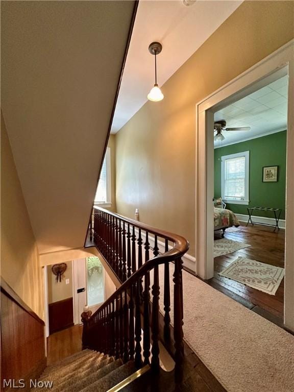 stairs featuring hardwood / wood-style floors and a wealth of natural light