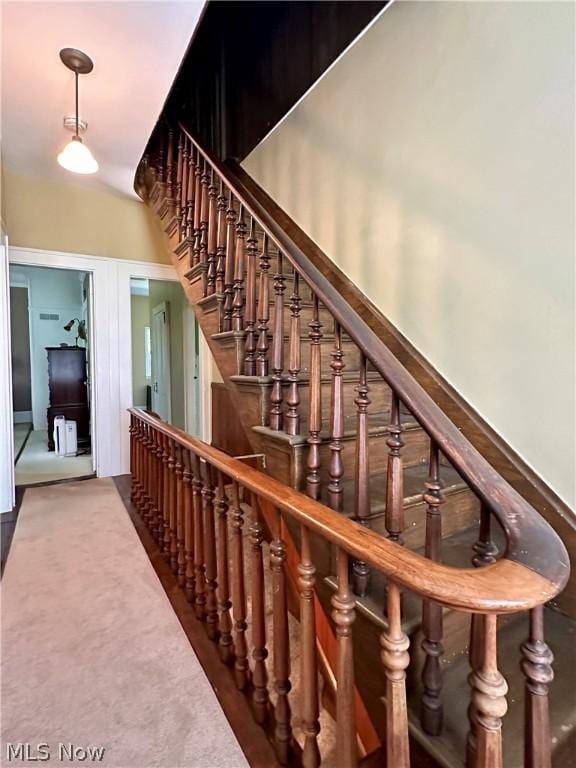 stairs with carpet flooring