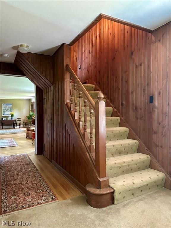 stairway with wood walls and carpet floors