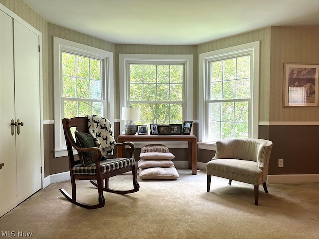 sitting room featuring light carpet