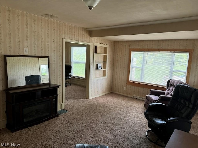 carpeted living room with a wealth of natural light