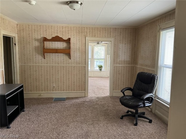 sitting room with carpet floors and a wealth of natural light