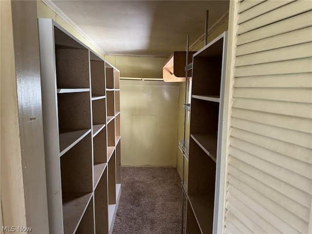 spacious closet with carpet floors