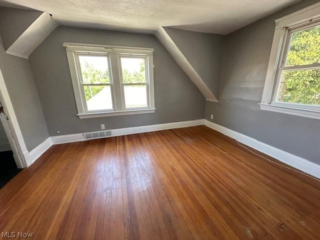 bonus room featuring a textured ceiling, a healthy amount of sunlight, vaulted ceiling, and wood-type flooring