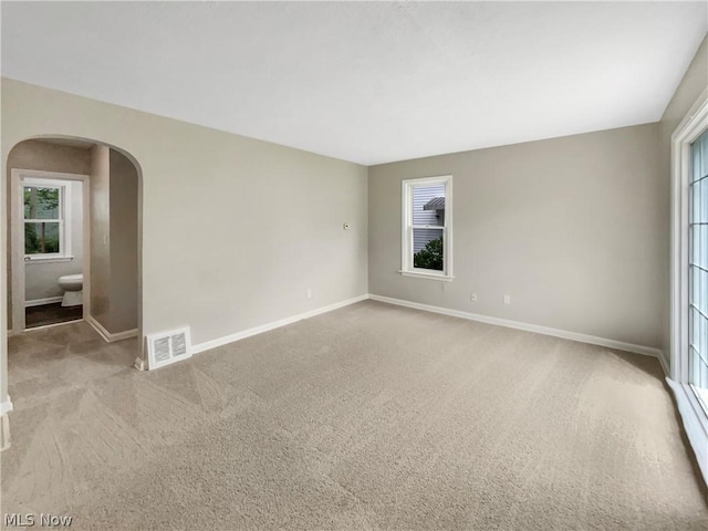 carpeted empty room featuring a wealth of natural light