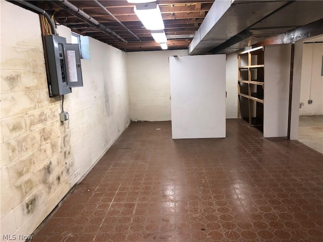 basement featuring electric panel