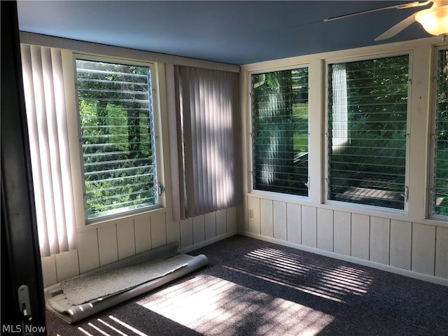 interior space with carpet flooring and ceiling fan