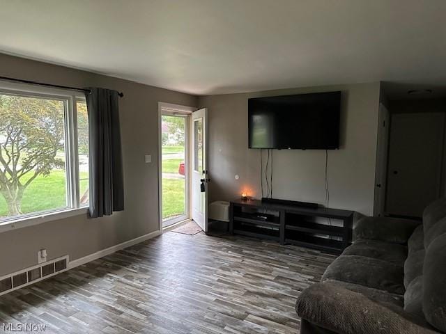 living room with hardwood / wood-style flooring and plenty of natural light